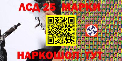 спиды Бердск