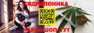 спиды Бердск