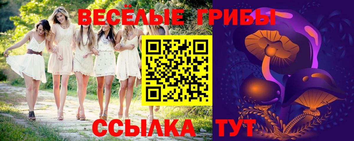 Псилоцибиновые грибы MAGIC MUSHROOMS  Вход с VPN  Великие Луки 